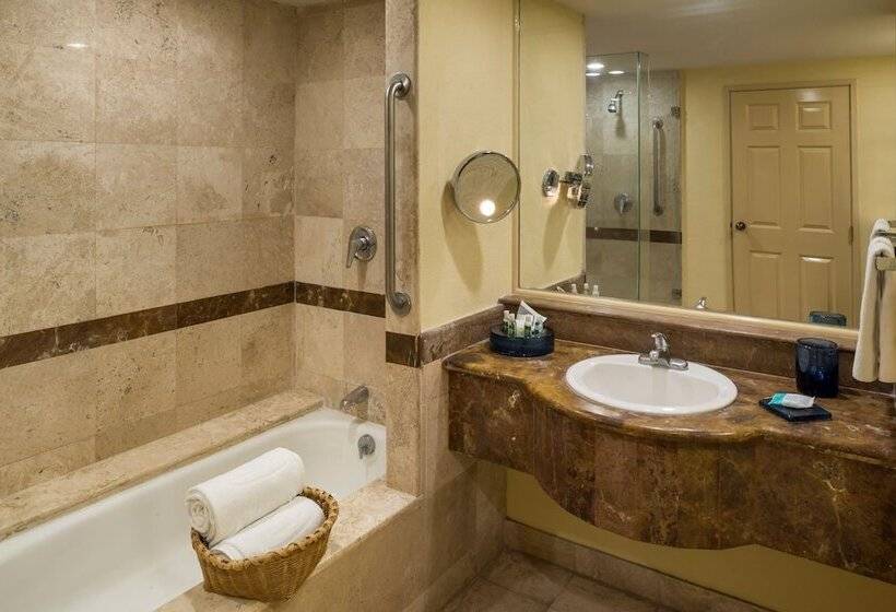 اتاق لوکس با تخت بزرگ, Camino Real Puebla Angelopolis