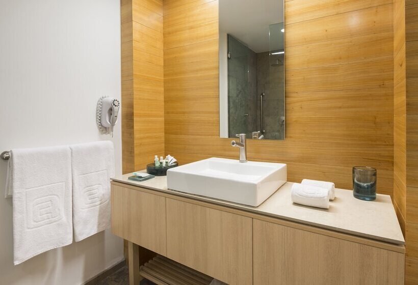 اتاق استاندارد, Camino Real Puebla Angelopolis