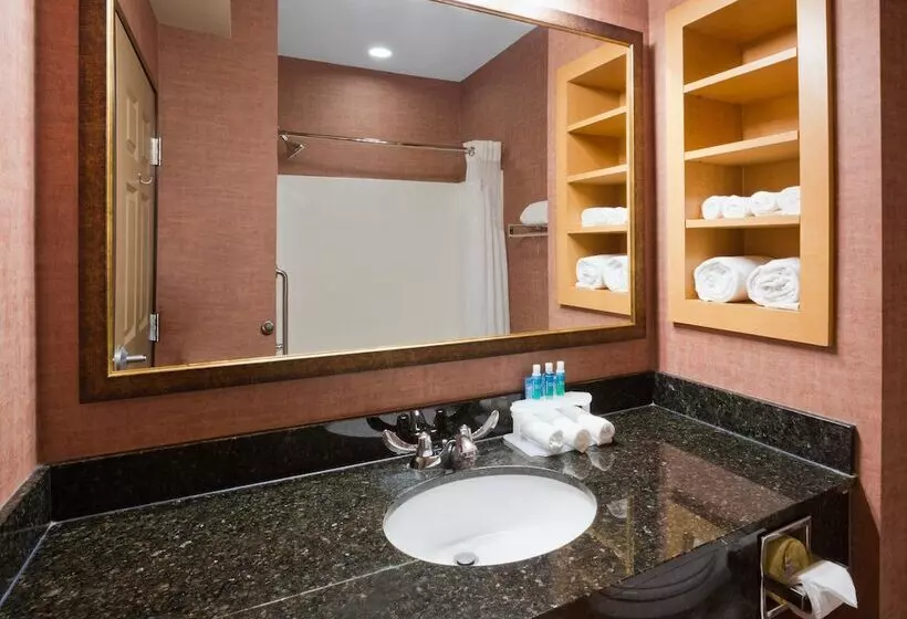 スイート, Holiday Inn Express Hotel & Suites Brainerd Baxter, An Ihg