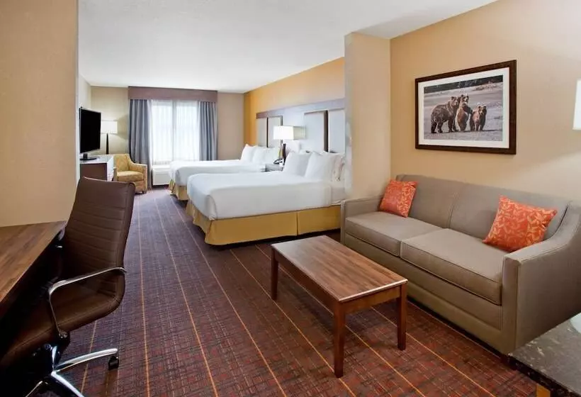 スタンダードルーム, Holiday Inn Express Hotel & Suites Brainerd Baxter, An Ihg