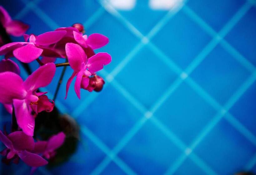 جناح جونيور مطلّ علي البحر, Relais Il Pennino