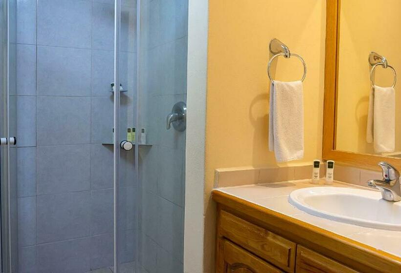 استودیوی استاندارد, Santa Fe Loreto by Villa Group