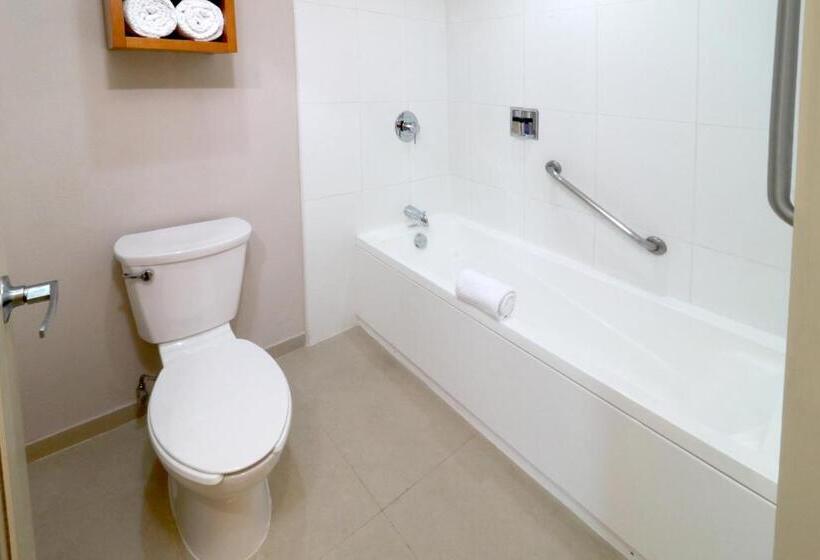 스위트 킹사이즈 침대, Staybridge Suites Guadalajara Expo, An Ihg