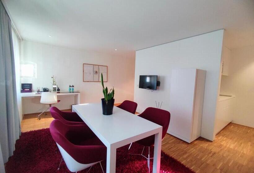 شقة سوبريور غرفة واحدة, Am Domplatz   Adult Only