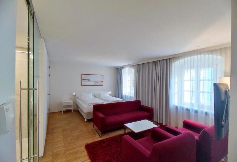 شقة سوبريور غرفة واحدة, Am Domplatz   Adult Only