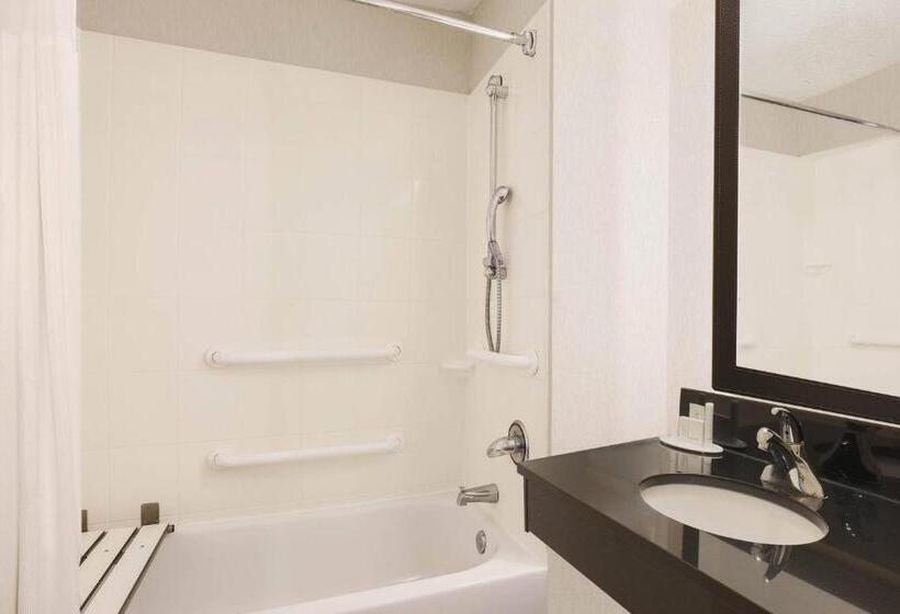带2个双人床的标准工作室, Fairfield Inn & Suites Tampa Fairgrounds/casino