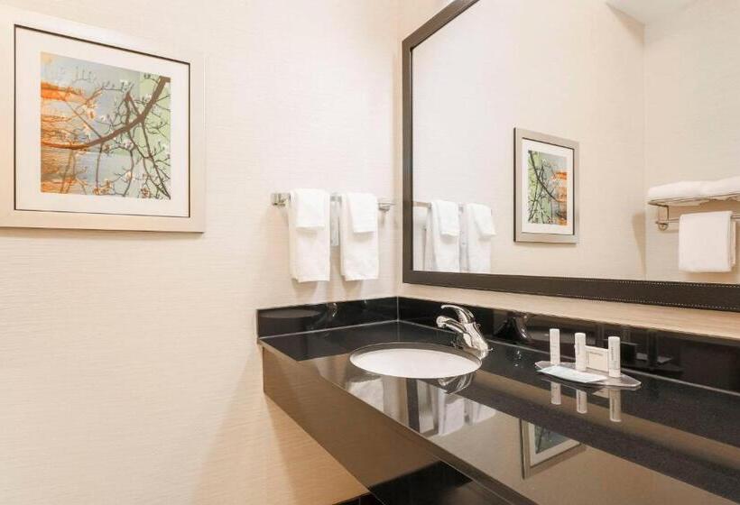 غرفة قياسية سرير كينج, Fairfield Inn & Suites Tampa Fairgrounds/casino