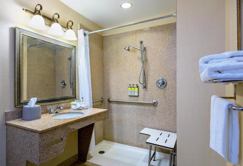 غرفة قياسية سرير كينج لذوى الإحتياجات الخاصة, Holiday Inn Express & Suites Bradenton East Lakewood Ranch, An Ihg