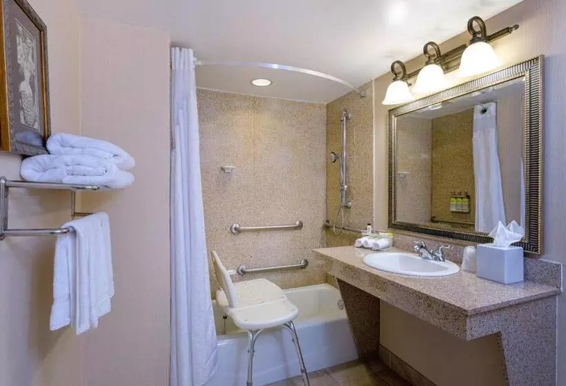 身障者適用キングサイズベッドルーム, Holiday Inn Express & Suites Bradenton East Lakewood Ranch, An Ihg