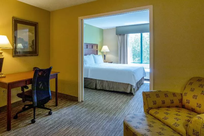 キングサイズベッドのスイートルーム, Holiday Inn Express & Suites Bradenton East Lakewood Ranch, An Ihg