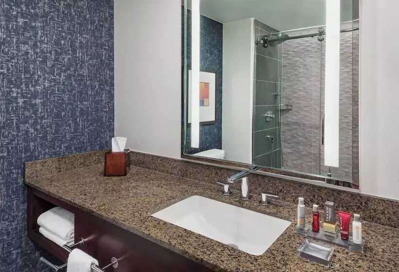 اتاق استاندارد با 2 تخت دوبل, Lancaster Marriott At Penn Square