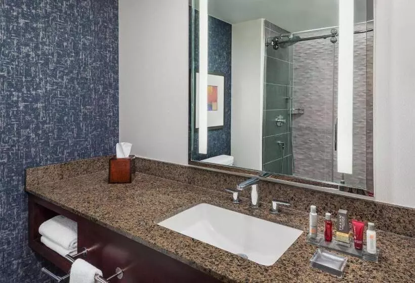 اتاق استاندارد با تخت بزرگ, Lancaster Marriott At Penn Square