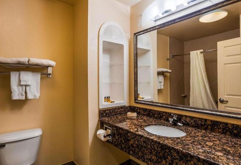 غرفة قياسية, Best Western Plus Barsana Hotel & Suites