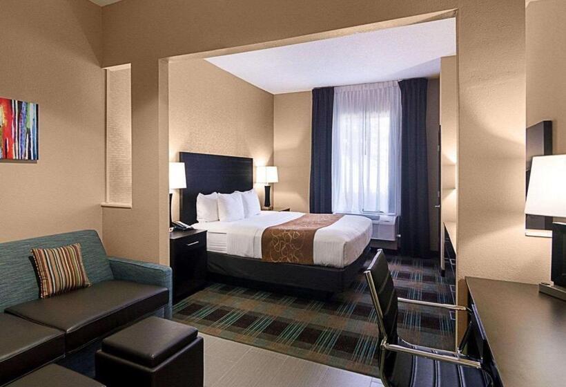 Люкс Адаптированный для Инвалидов, Comfort Suites Houston West At Clay Road