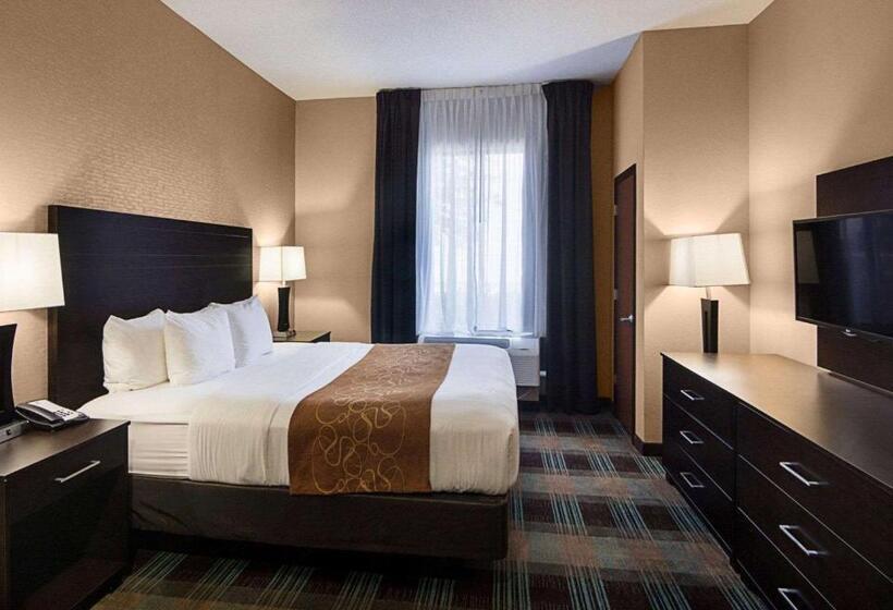Люкс Адаптированный для Инвалидов, Comfort Suites Houston West At Clay Road