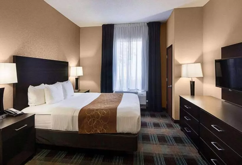 身障者適用スイートルーム, Comfort Suites Houston West At Clay Road