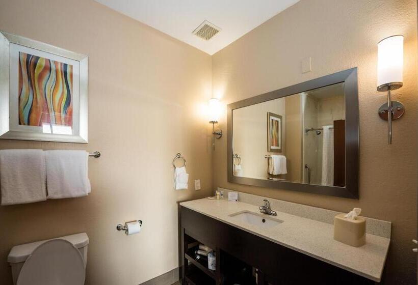 Люкс Кровать Кинг, Comfort Suites Houston West At Clay Road