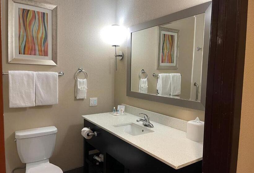 Люкс, Comfort Suites Houston West At Clay Road