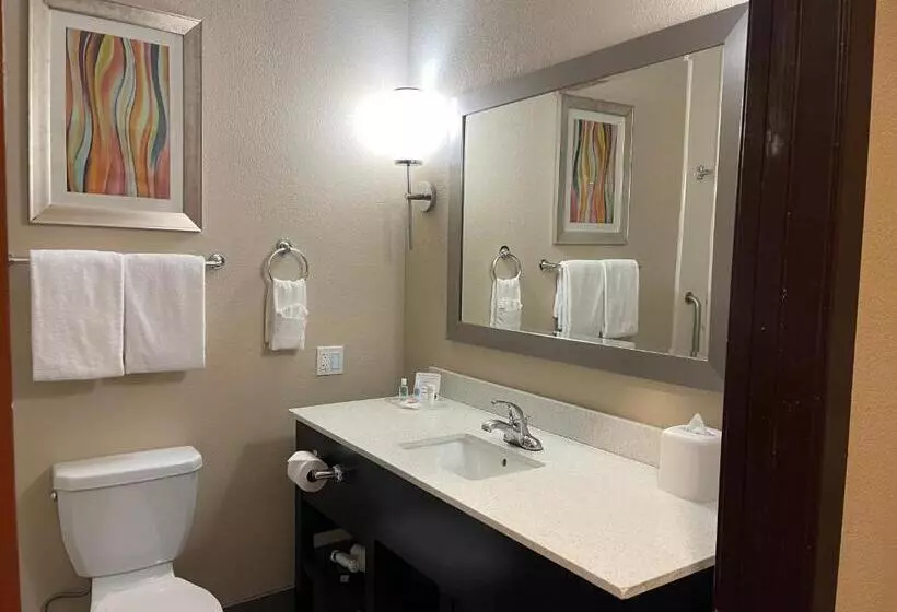 スイート, Comfort Suites Houston West At Clay Road