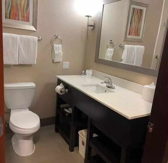 スイート, Comfort Suites Houston West At Clay Road
