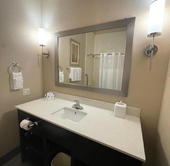 スイート, Comfort Suites Houston West At Clay Road