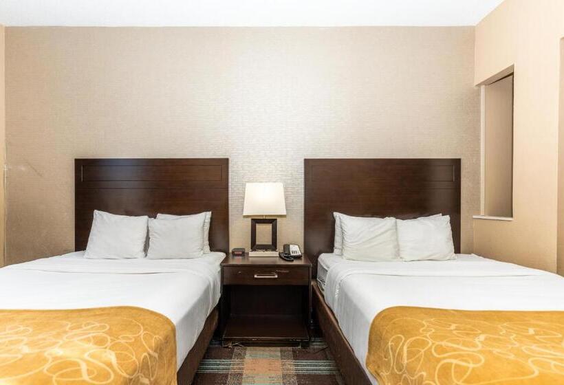 Люкс, Comfort Suites Houston West At Clay Road