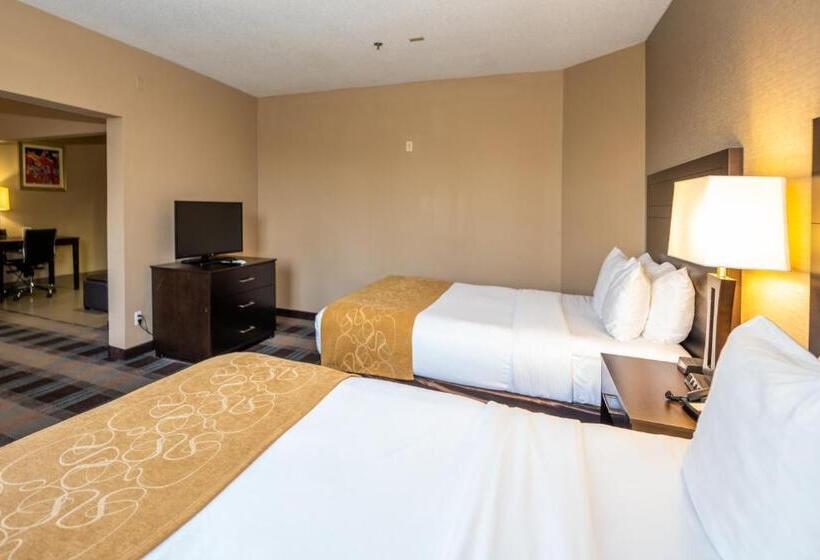 Люкс, Comfort Suites Houston West At Clay Road
