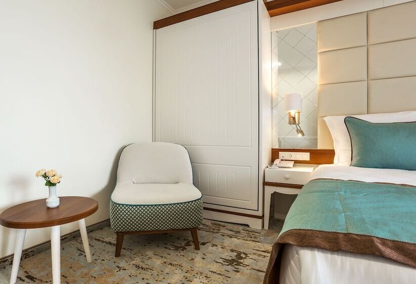 スタンダードルーム, Festa Via Pontica