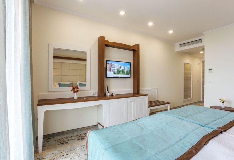 スタンダードルーム, Festa Via Pontica