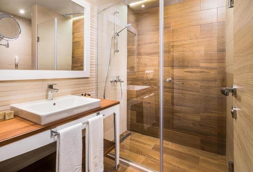 スタンダードルーム, Festa Via Pontica