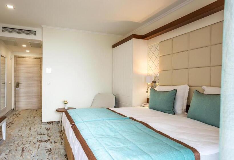 スタンダードルーム, Festa Via Pontica