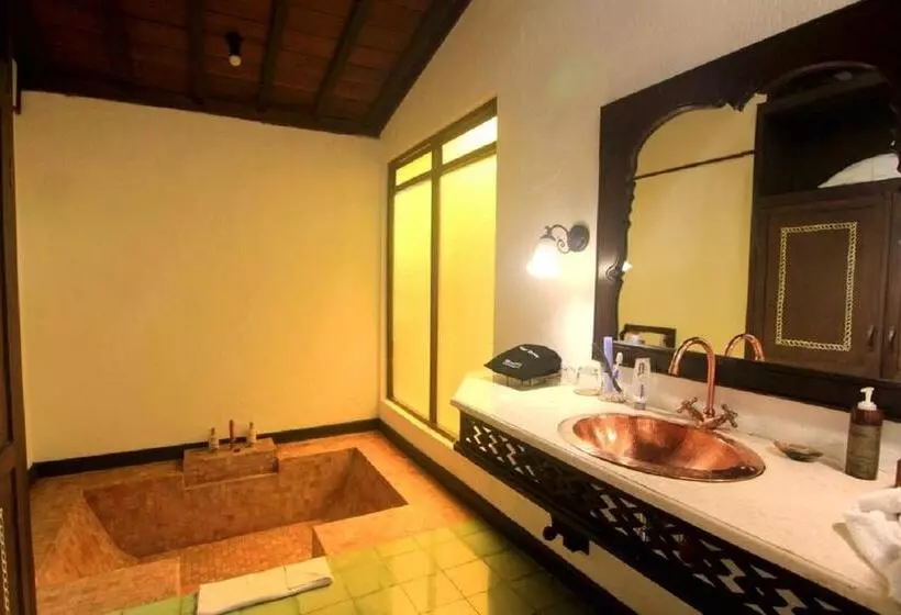 ویلای 1 خوابه, Mesastila Resort And Spa