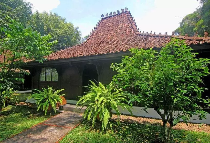 ویلای 1 خوابه, Mesastila Resort And Spa