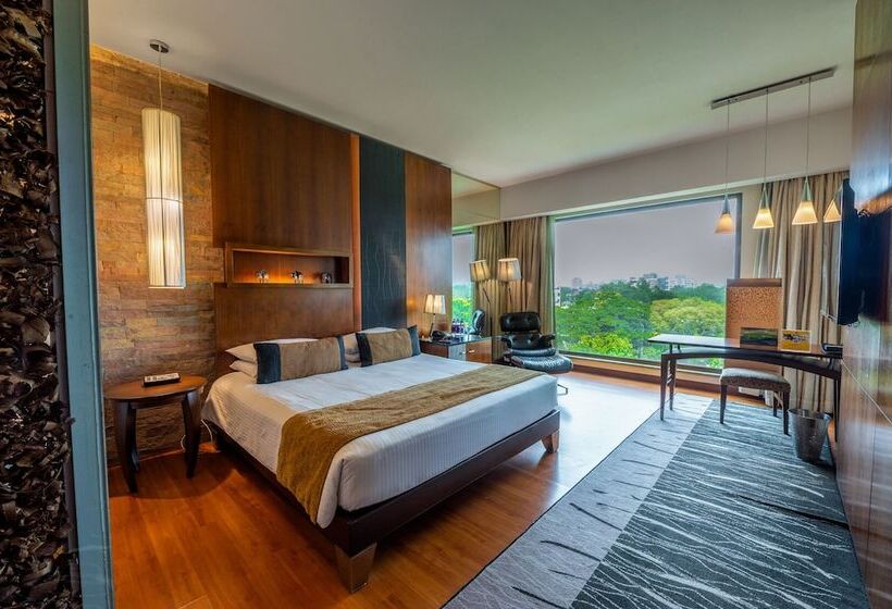 豪华房间, O Hotel Pune