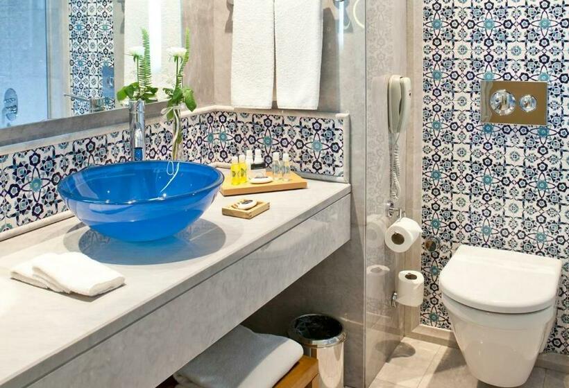 スタンダードルーム, Paloma Pasha