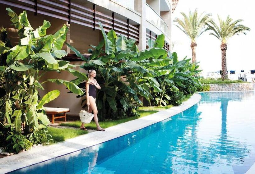 スタンダードルーム, Paloma Pasha