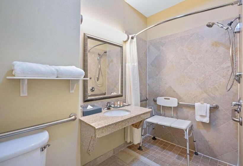 キングサイズベッドのスタンダードルーム, Sonesta Essential Houston Westchase