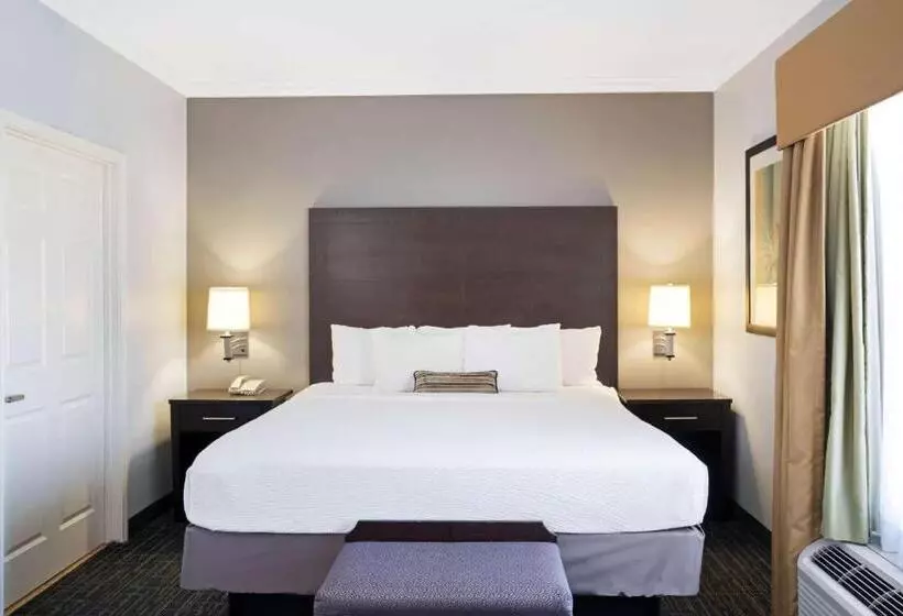 اتاق استاندارد با تخت بزرگ, Sonesta Essential Houston Westchase