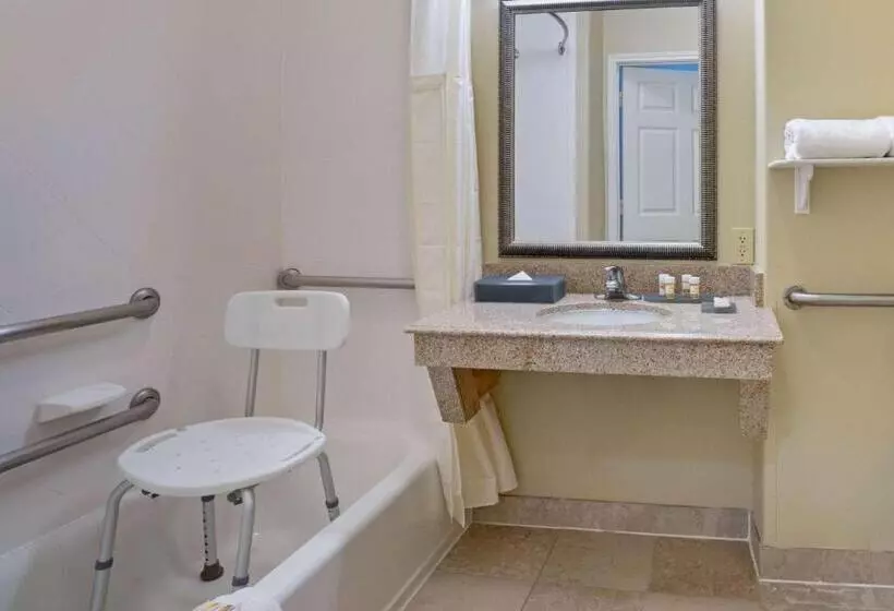 اتاق استاندارد با تخت بزرگ, Sonesta Essential Houston Westchase