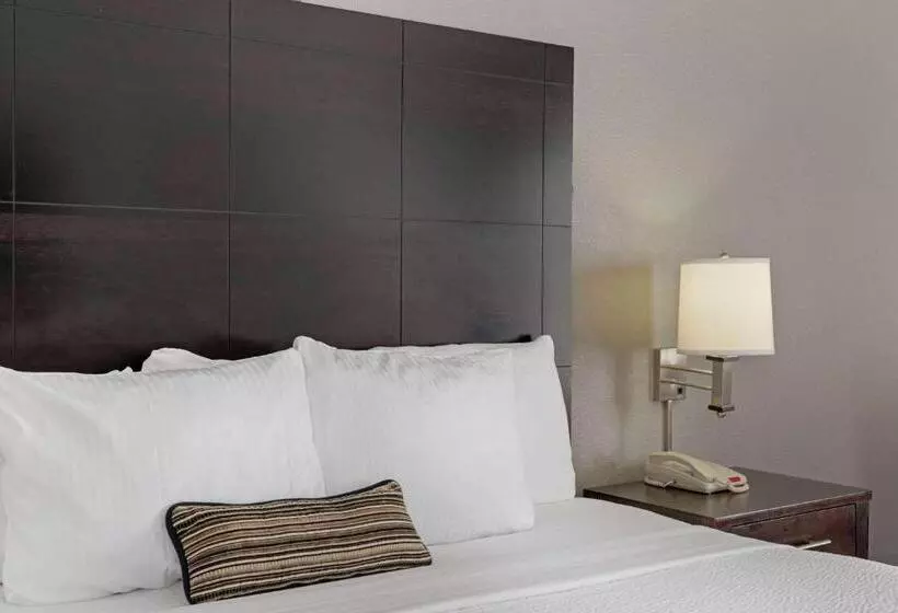 اتاق استاندارد با تخت بزرگ برای معلولان, Sonesta Essential Houston Westchase