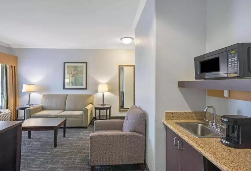 سوئیت با تخت بزرگ, Sonesta Essential Houston Westchase