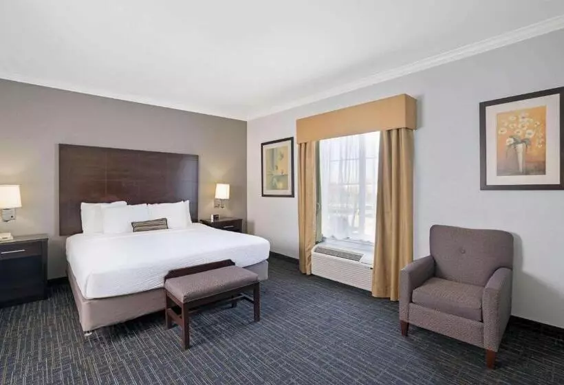سوئیت با تخت بزرگ, Sonesta Essential Houston Westchase