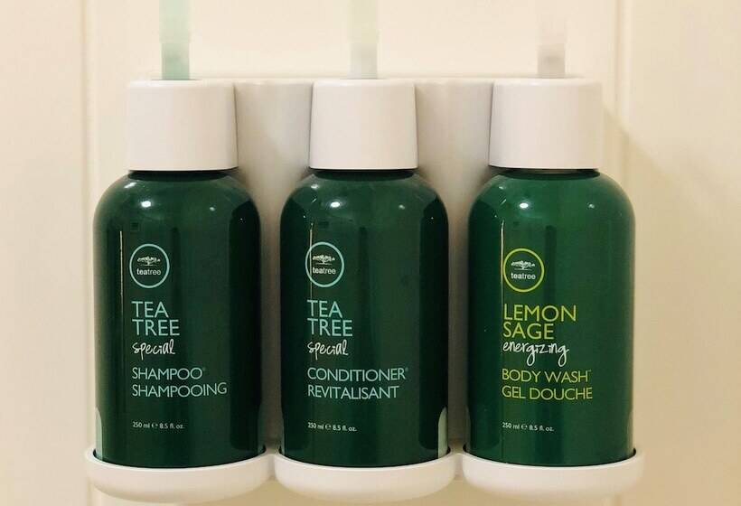 标准工作室, Springhill Suites By Marriott Annapolis