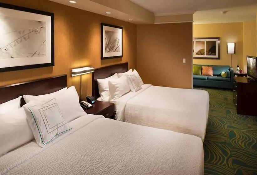 スタンダードスタジオ, Springhill Suites By Marriott Annapolis