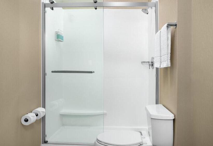 带大床的标准工作室, Springhill Suites By Marriott Annapolis