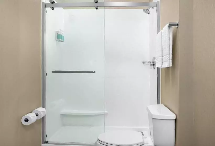 キングサイドベッドのスタンダードワンルーム, Springhill Suites By Marriott Annapolis