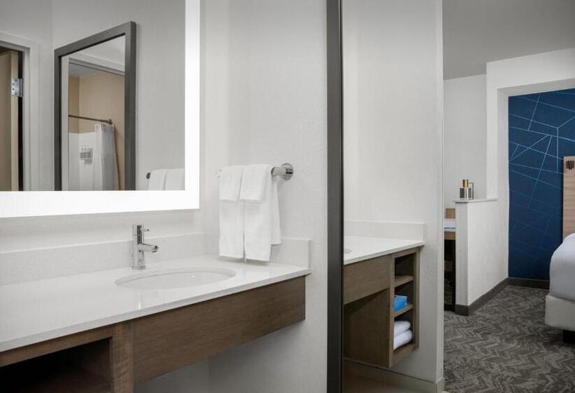 带大床的标准工作室, Springhill Suites By Marriott Annapolis