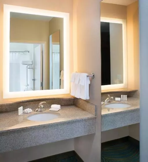 キングサイドベッドのスタンダードワンルーム, Springhill Suites By Marriott Annapolis