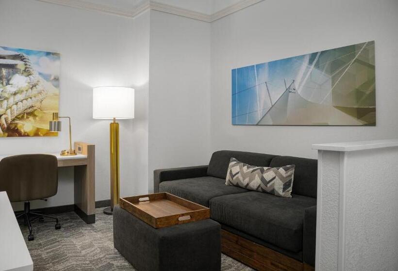 带大床的标准工作室, Springhill Suites By Marriott Annapolis