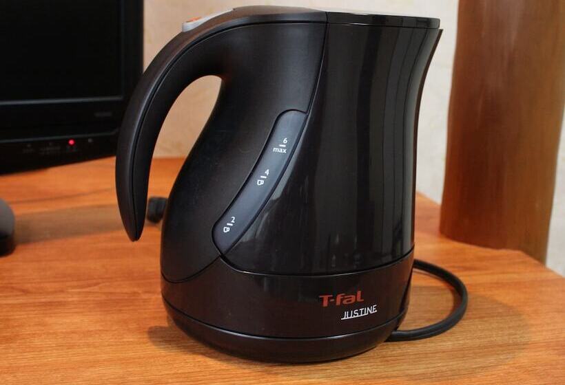 اتاق استاندارد, Satomo Ryokan